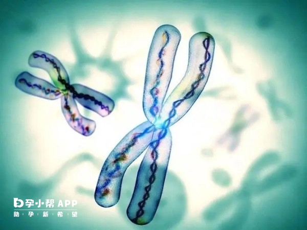 孕妇黑色素沉淀与胎儿性别概率关系研究