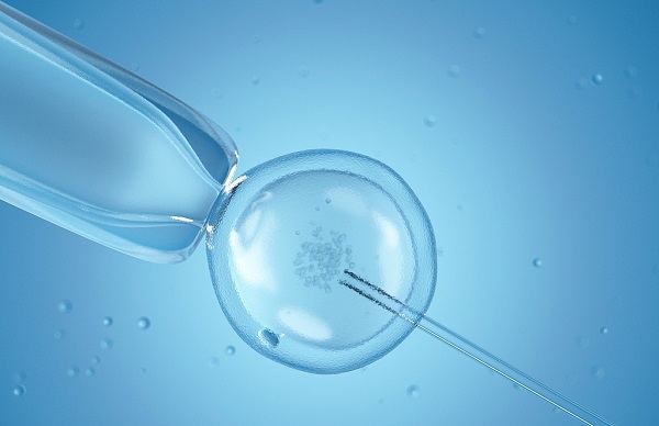 孕期营养素补充剂选择指南