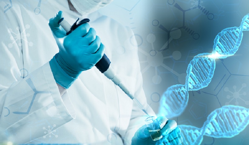 宁夏地区辅助生殖技术发展现状分析