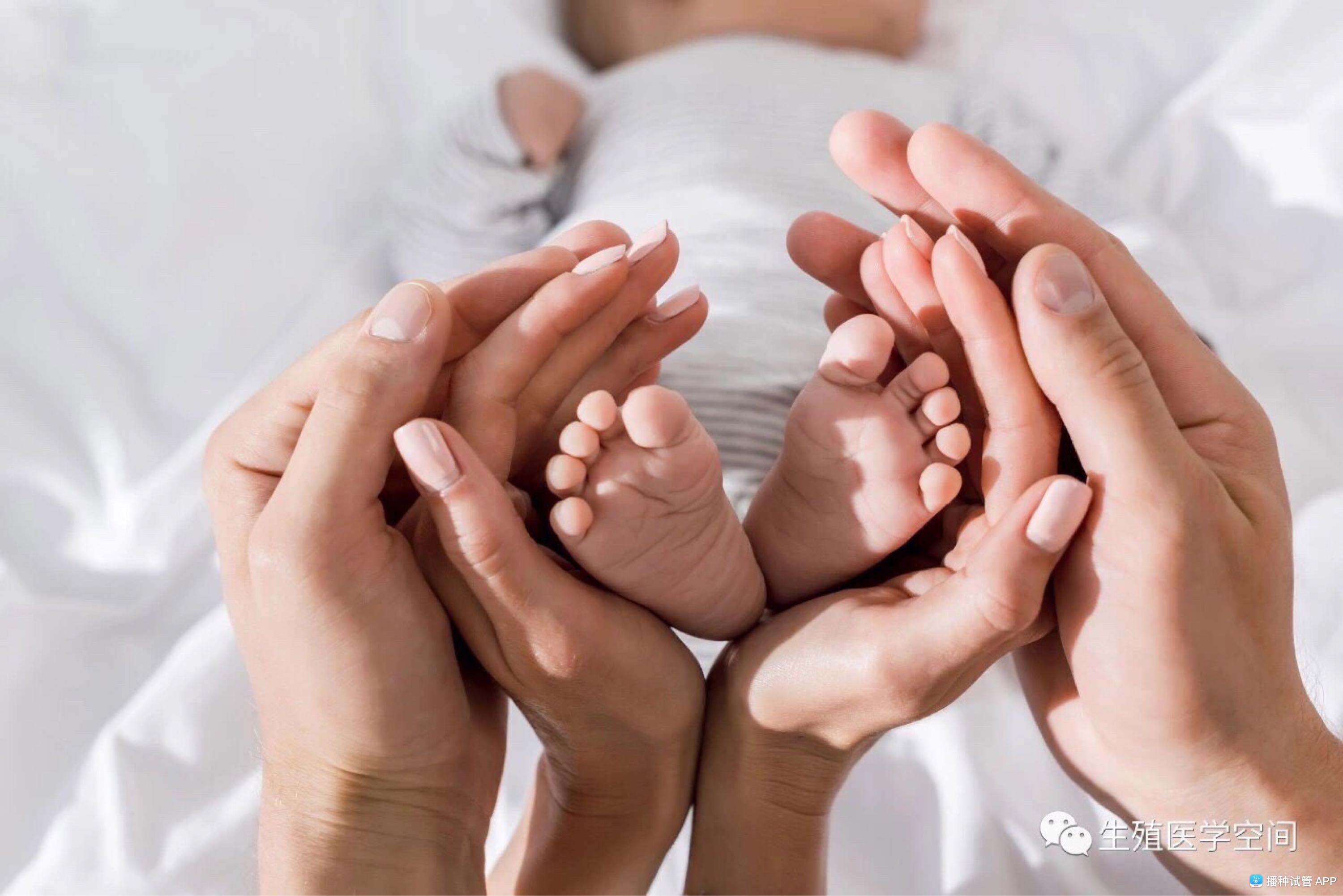 孕期营养摄入与胎儿发育的关系研究