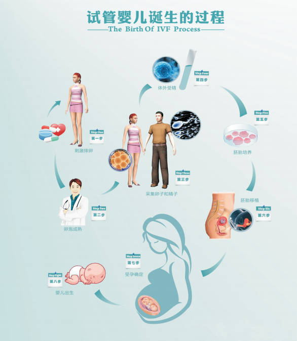 宁波不孕不育医院辅助生殖技术现状分析