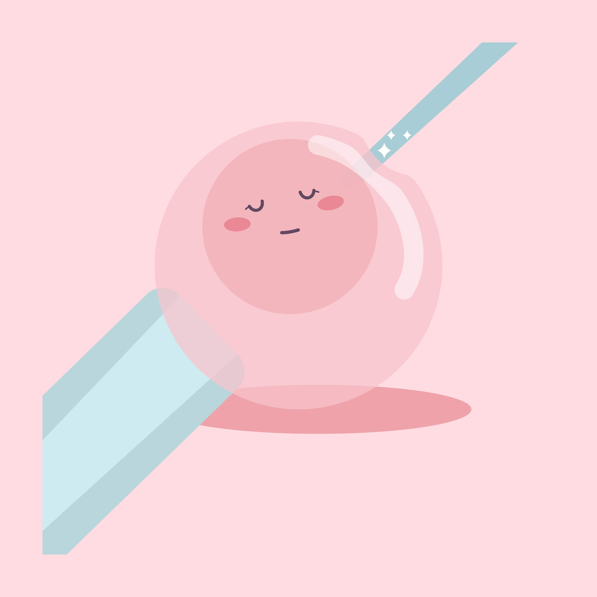 孕期营养摄入与胎儿发育关系研究