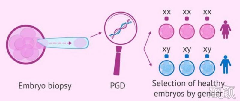 孕酮水平变化与妊娠早期生理指标分析