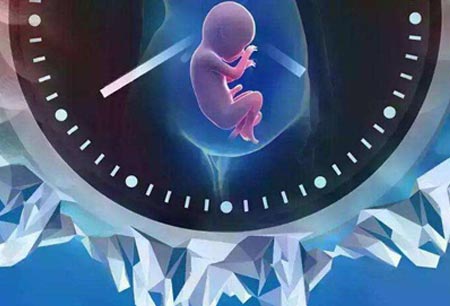 孕早期营养指南  解读禁忌食物清单