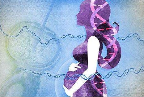 孕检项目全解析